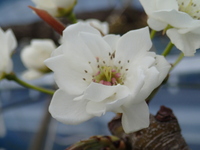 P4140110