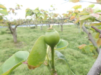 P5010050