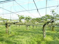 P4280489