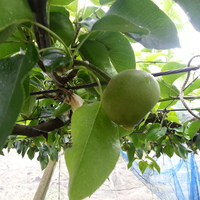 2013-06-26-06-28-56_photo