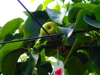 P7020003