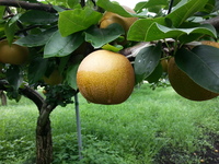 2013-08-24-08-34-37_photo