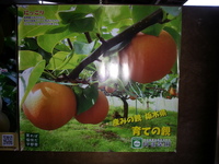 2013-09-10-05-49-23_photo