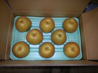 2013-09-10-17-15-48_photo