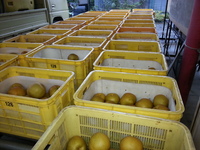 2013-09-15-09-07-37_photo