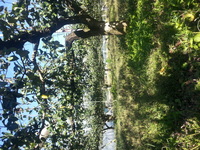 2013-10-21-09-44-13_photo