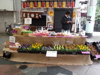 2013-10-26-13-15-59_photo