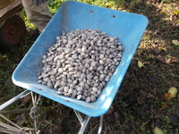 2013-11-06-13-53-42_photo