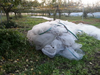 2013-11-08-16-16-52_photo