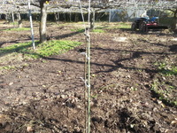 2013-11-20-11-45-14_photo