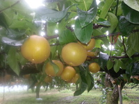 2013-09-04-08-44-10_photo