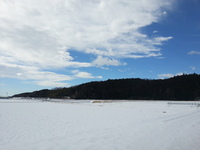 2014-02-16-10-01-38_photo