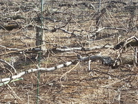 2014-02-26-09-43-15_photo