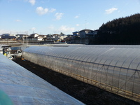 2014-03-08-08-10-57_photo