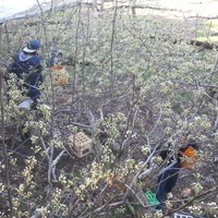 2014-04-12-08-51-15_photo