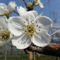 2014-04-15-09-41-32_photo