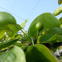 2014-05-07-15-37-43_photo