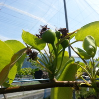 2014-05-10-09-12-39_photo