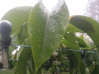 2014-05-21-07-49-42_photo