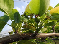 P4290128