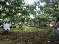 P7230022