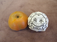 P9155336