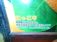 Pa110285