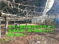 20121210152938