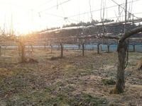 Fxcam_1363124556849