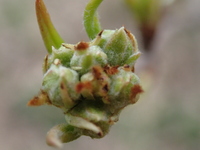 P3250044