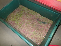 P4050030