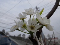P4140116