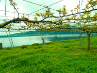 P4260467