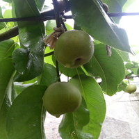 2013-06-26-06-29-13_photo
