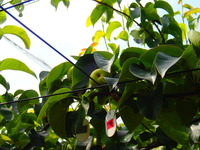 P7020002