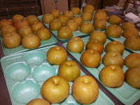 2013-09-05-10-30-27_photo