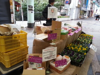 2013-10-26-13-16-11_photo