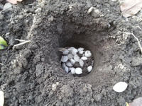 2013-11-06-13-52-47_photo