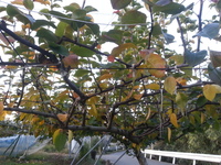 2013-11-08-16-16-59_photo