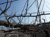 2014-02-26-09-47-43_photo