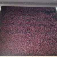 2014-04-13-07-24-43_photo