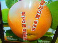 Pa110286
