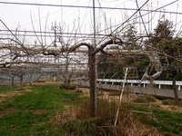 P3250045