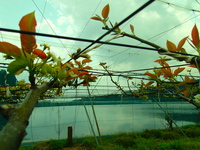 P4260465