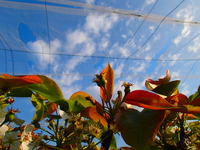 P4280479