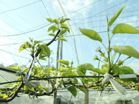 P4280493