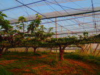 P5150069